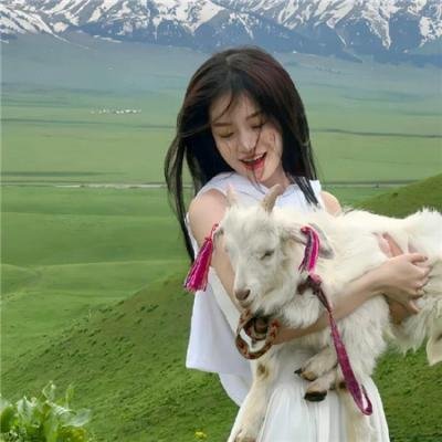 爱在囧途
